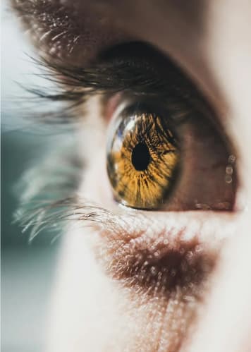 Eye tracking
