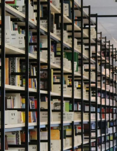 Organization